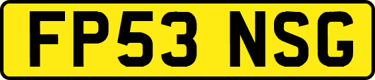 FP53NSG