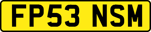 FP53NSM
