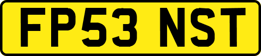 FP53NST
