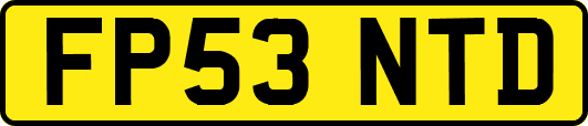 FP53NTD