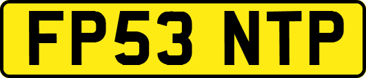 FP53NTP