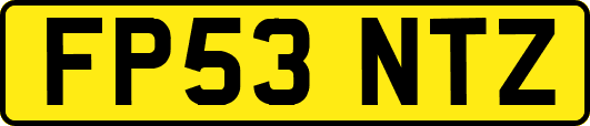 FP53NTZ