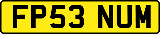 FP53NUM