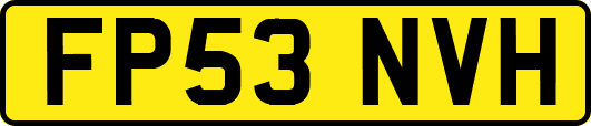 FP53NVH