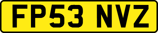 FP53NVZ