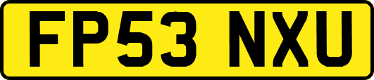 FP53NXU