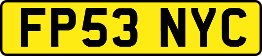 FP53NYC
