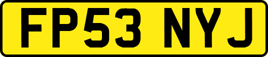 FP53NYJ