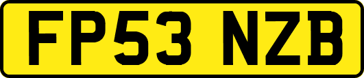 FP53NZB