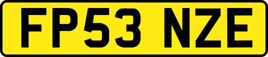 FP53NZE