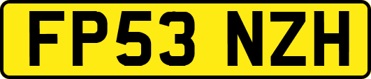 FP53NZH