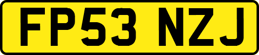 FP53NZJ