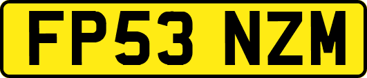 FP53NZM