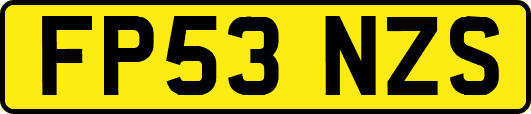 FP53NZS