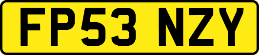 FP53NZY