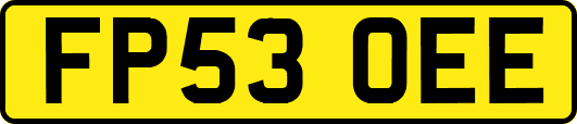 FP53OEE