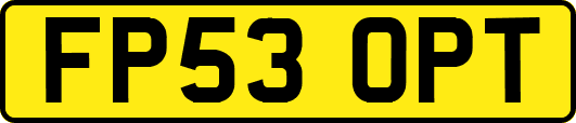 FP53OPT