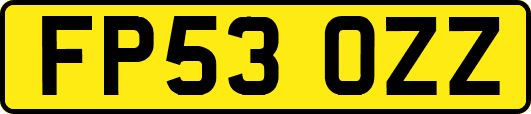 FP53OZZ
