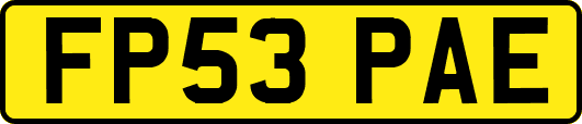 FP53PAE