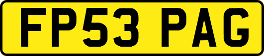 FP53PAG