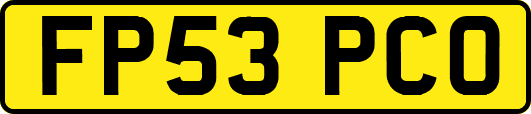 FP53PCO