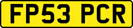 FP53PCR