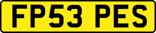 FP53PES