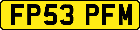 FP53PFM