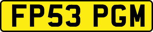 FP53PGM
