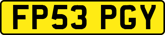 FP53PGY
