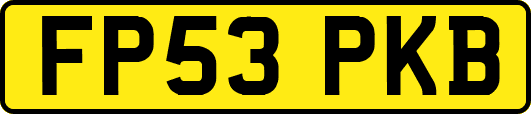 FP53PKB