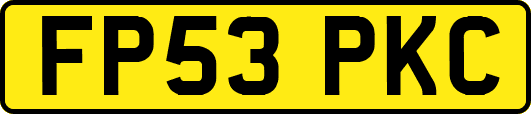 FP53PKC