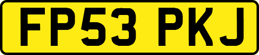 FP53PKJ
