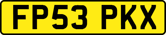FP53PKX