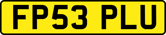 FP53PLU