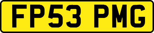 FP53PMG