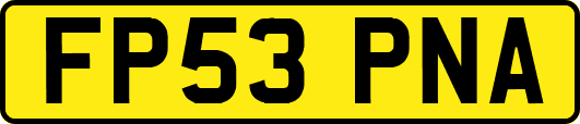 FP53PNA