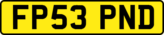 FP53PND
