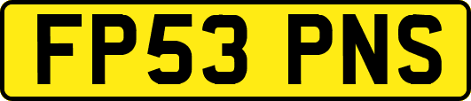 FP53PNS
