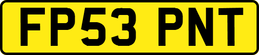 FP53PNT