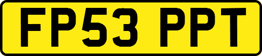 FP53PPT