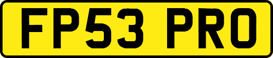 FP53PRO