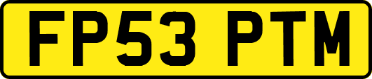 FP53PTM