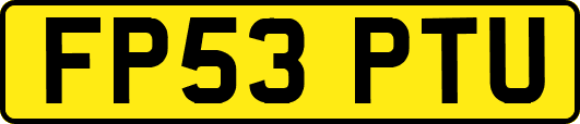 FP53PTU