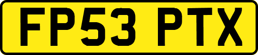 FP53PTX