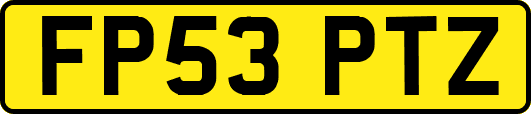 FP53PTZ