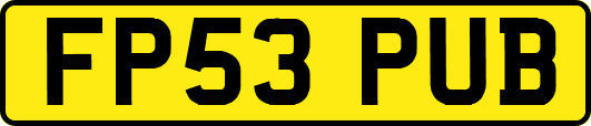 FP53PUB