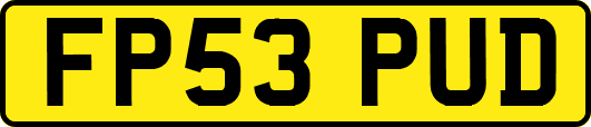 FP53PUD