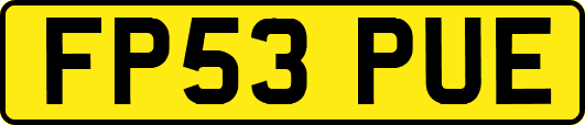 FP53PUE