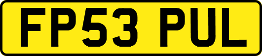 FP53PUL